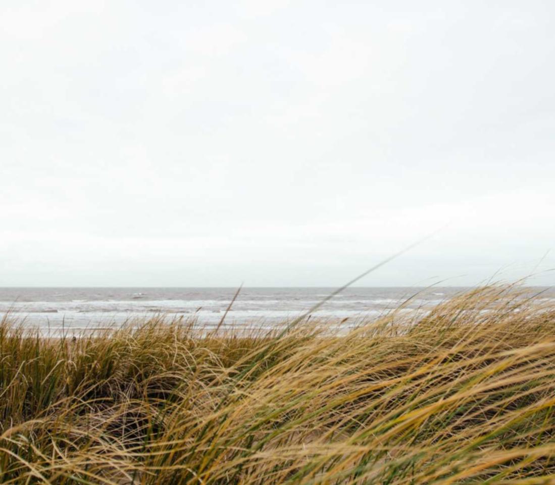 万宝路黑冰爆珠：聚星平台的代理