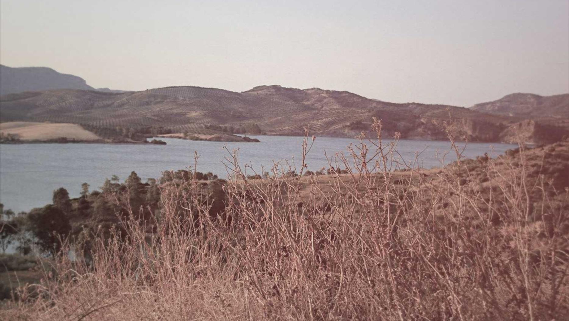 分享通信实名账号:进口烟购买平台