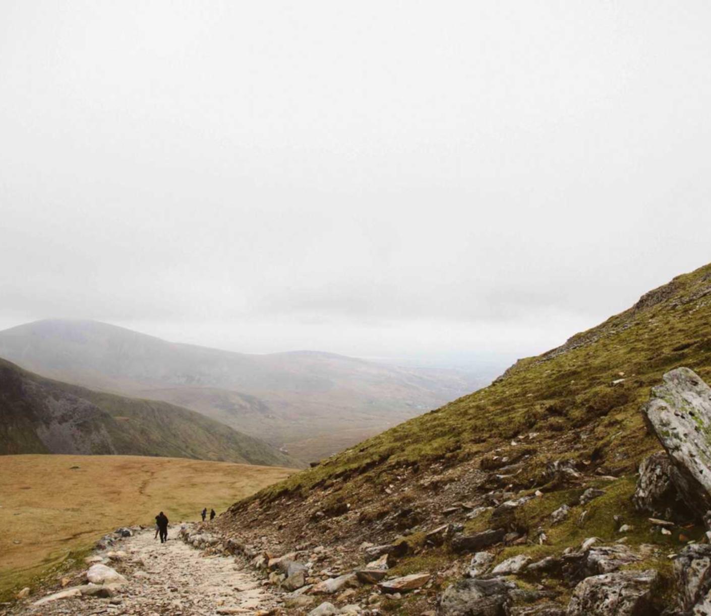 指尖领主辅助- 香港号码注册微博账号