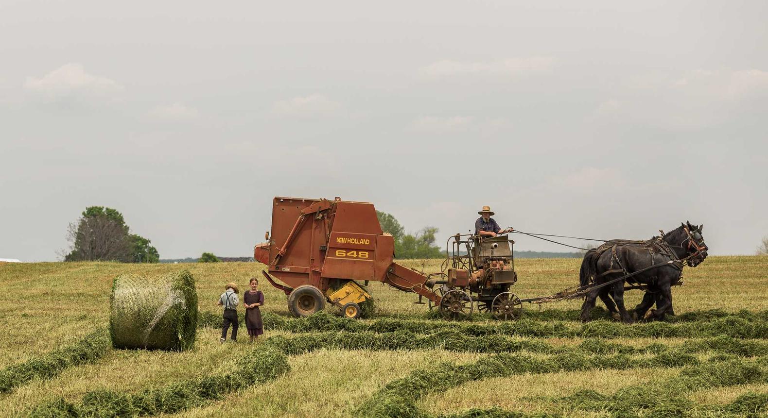 符文王者：道友app详情下载教程