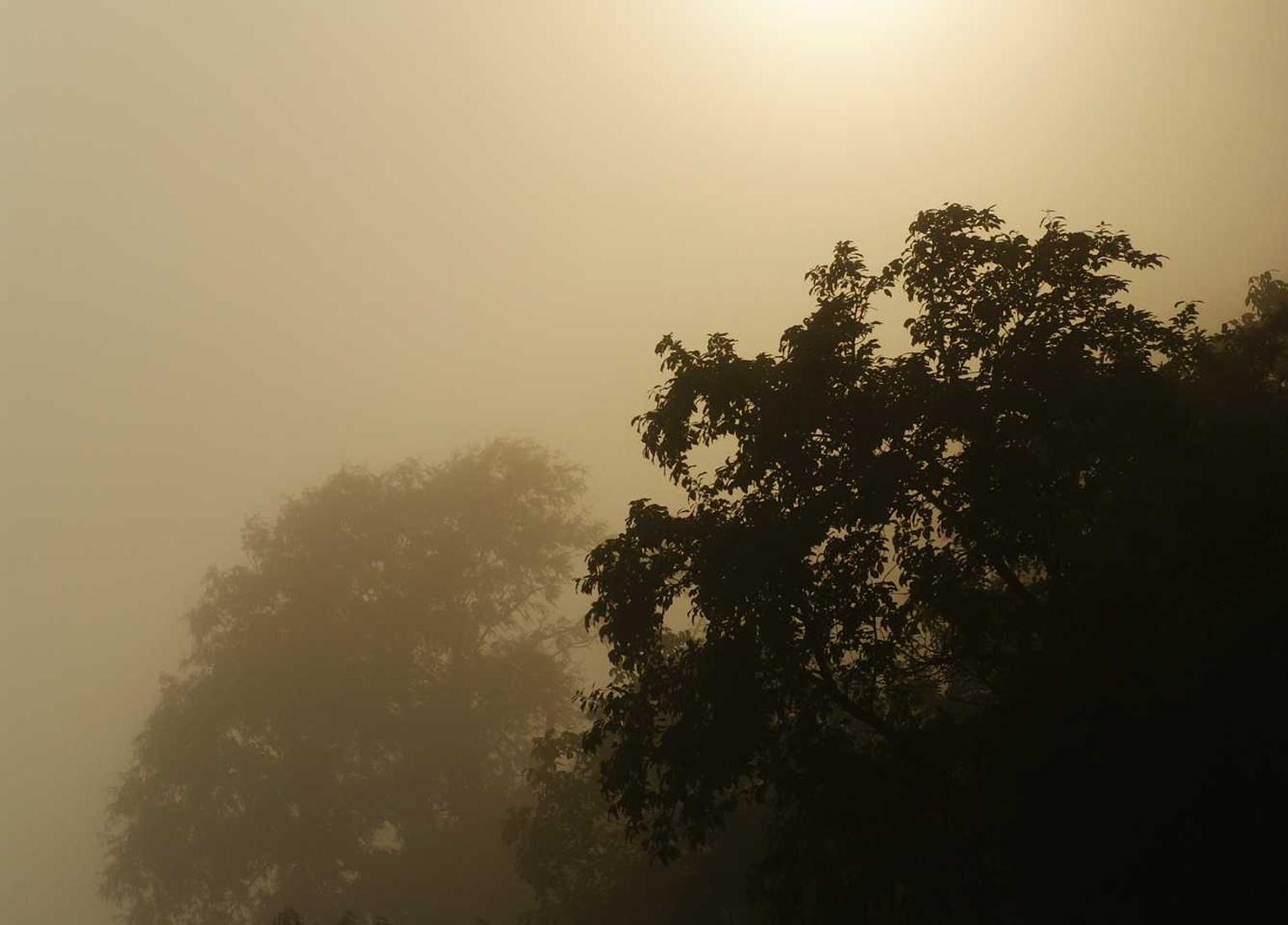 溯源系统助力能源环保发展