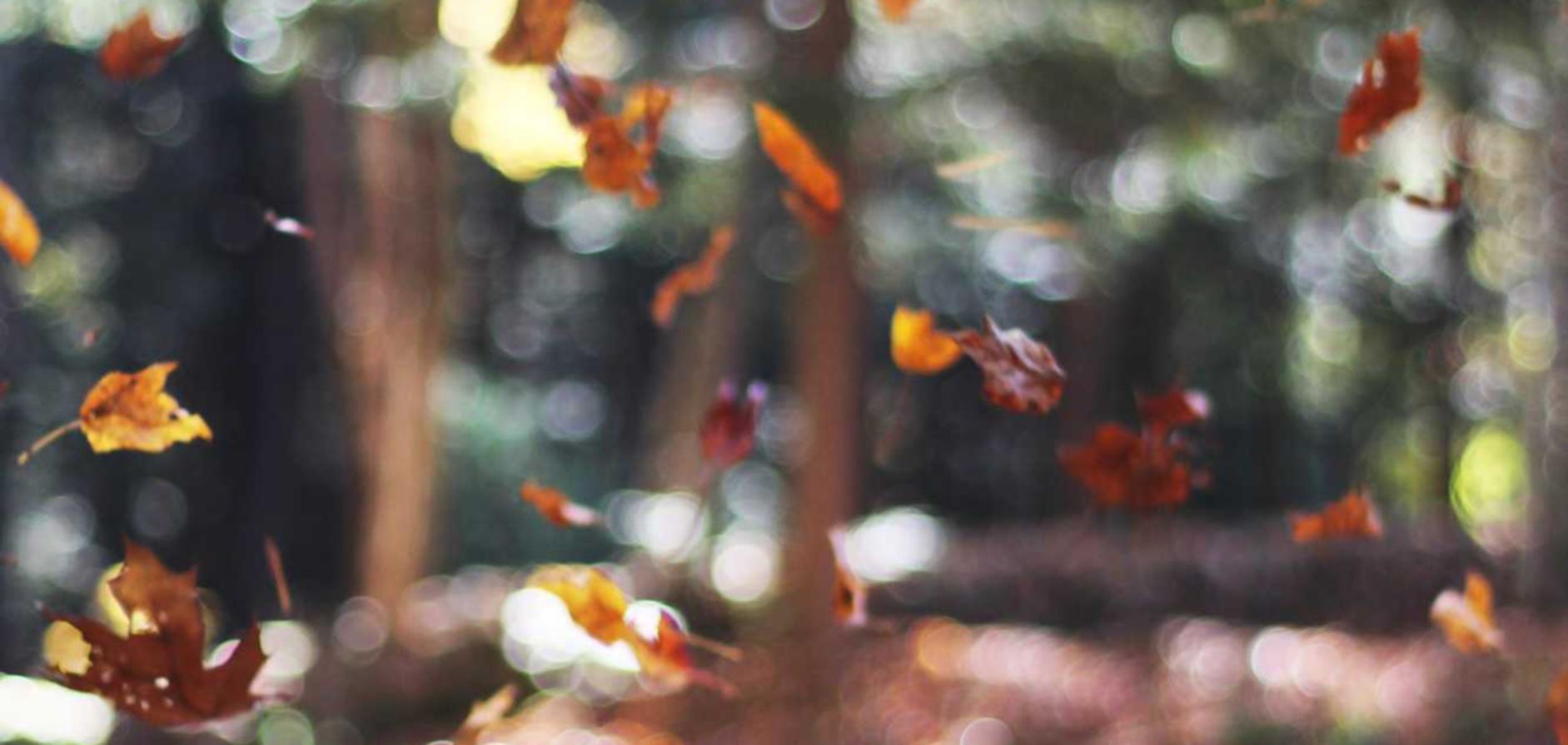 如何创造出无从使用技术支持辅助的游戏？