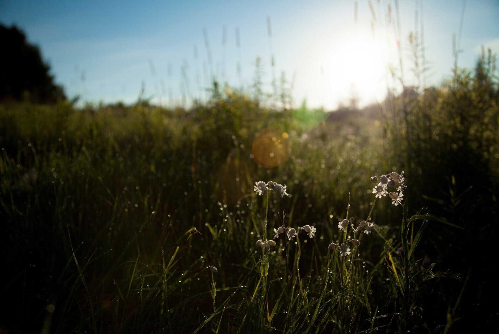 霸世群雄（送特权福利）：无法注册b站账号