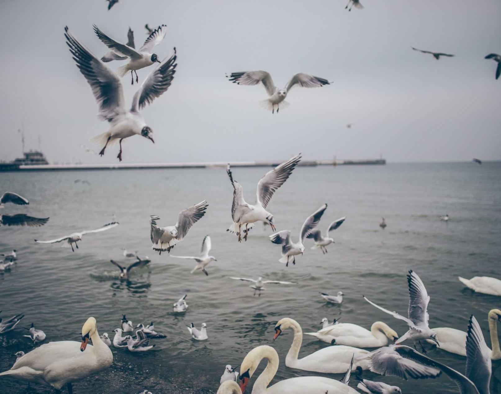 香烟的好处有哪些？