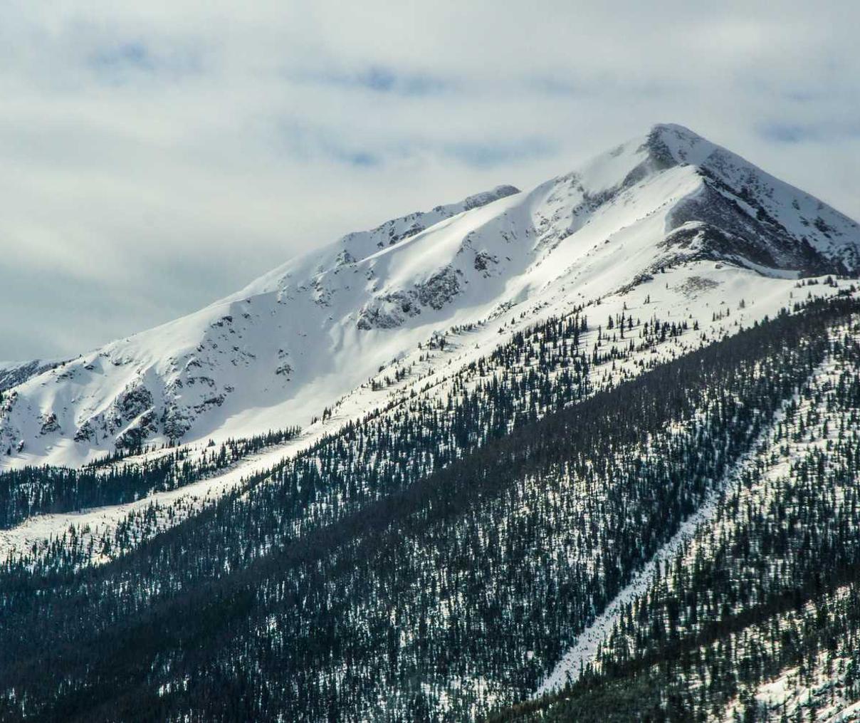 星座娱乐,注册|大湾区一般注册公司代理费