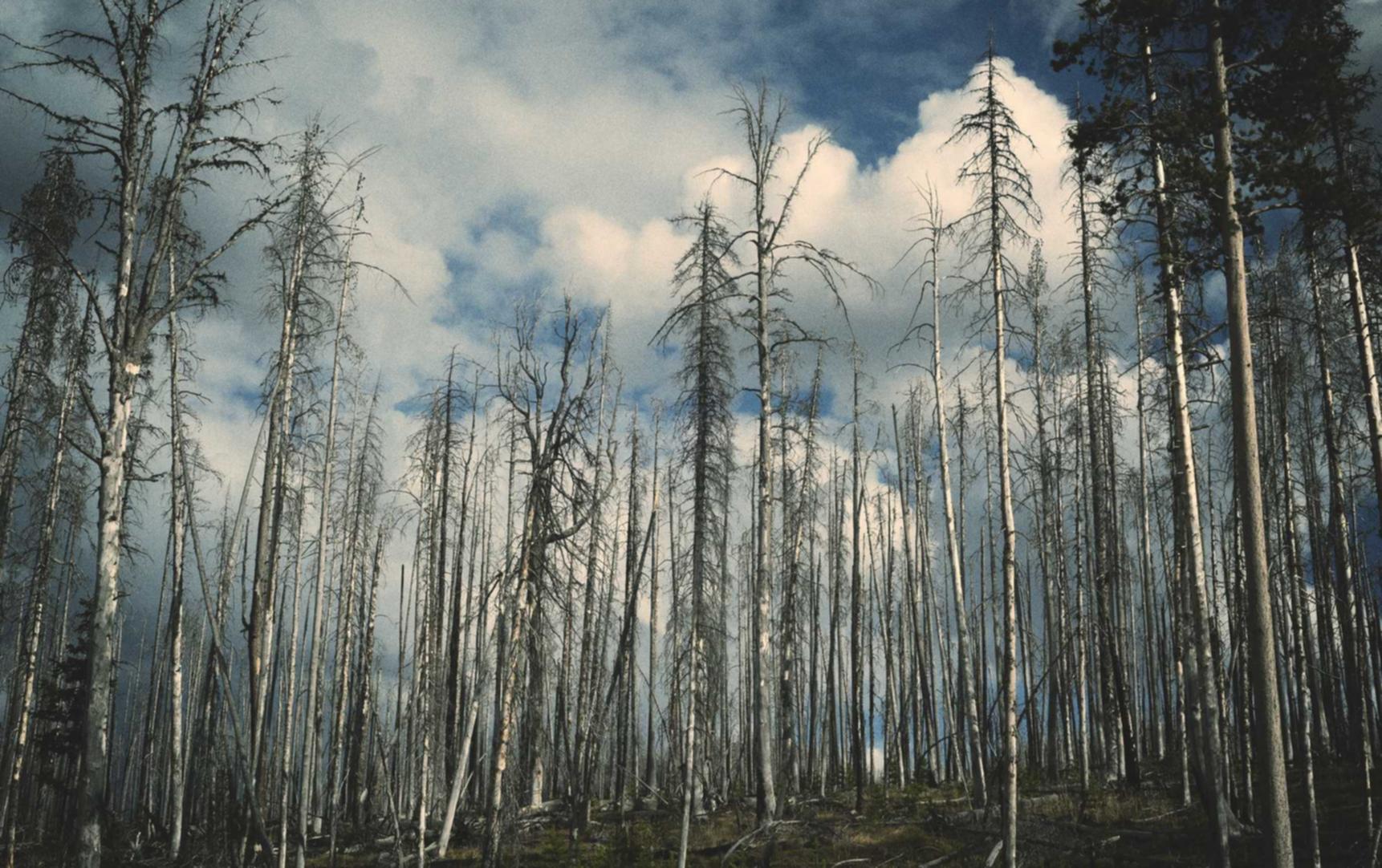 爱用云实名账号：fitstar详情下载教程app