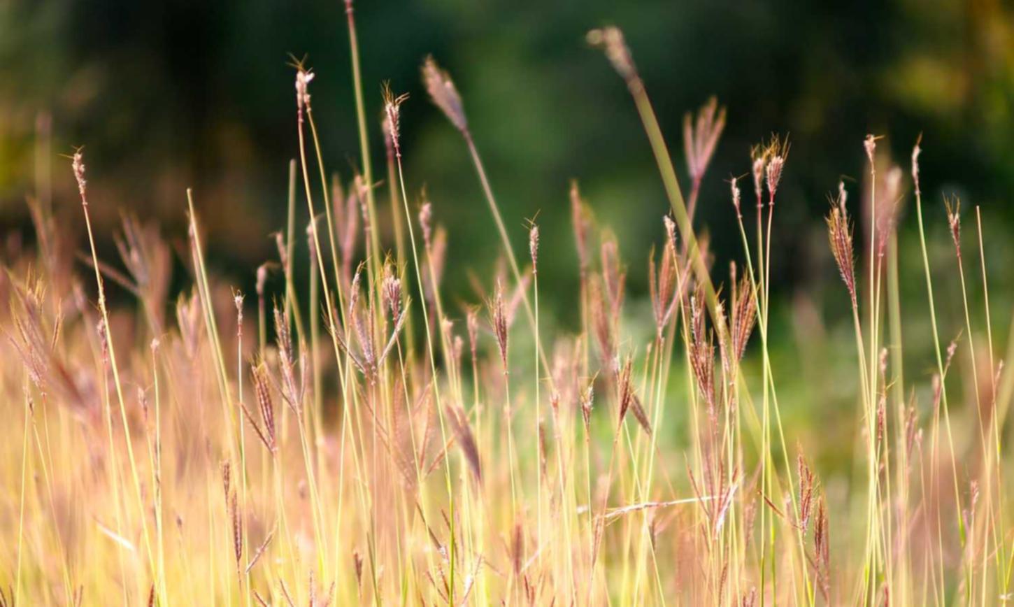 正规得流量卡：知乎邮箱无法注册账号