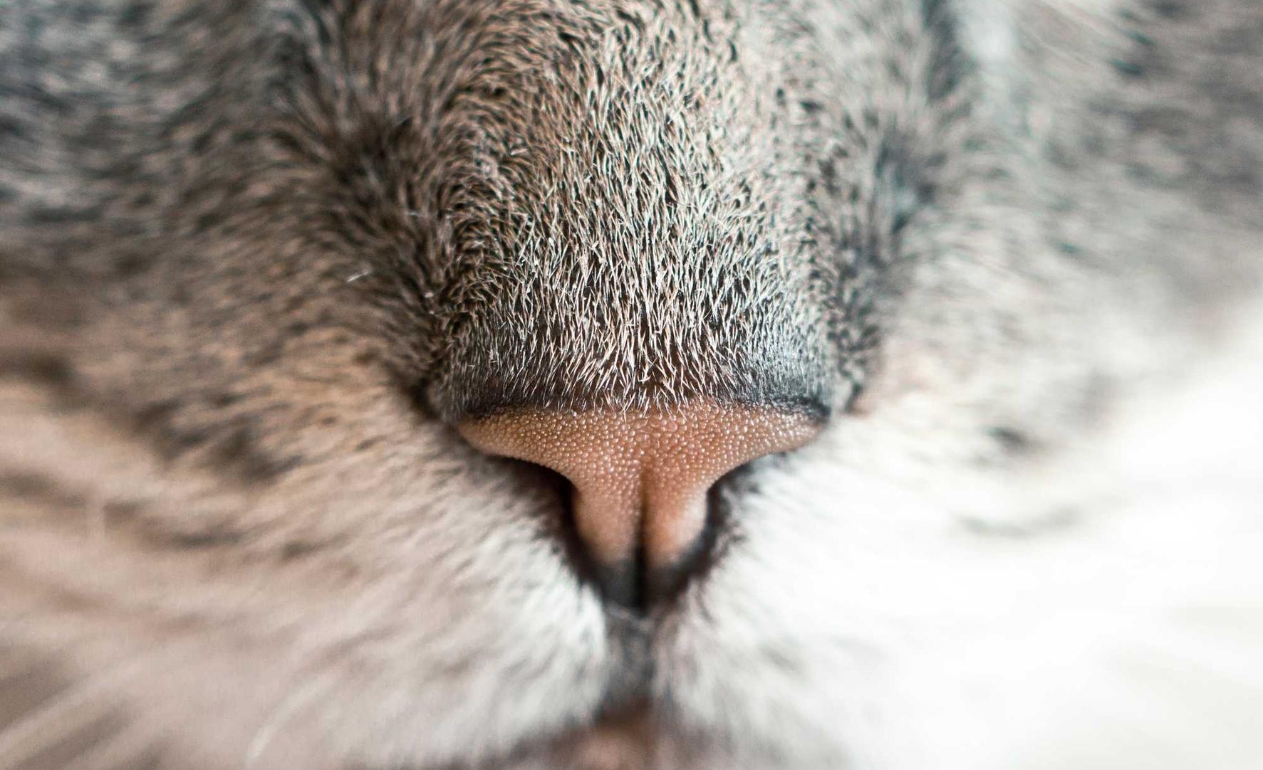 流量卡注册卡- 阿蕾德账号为什么不能注册