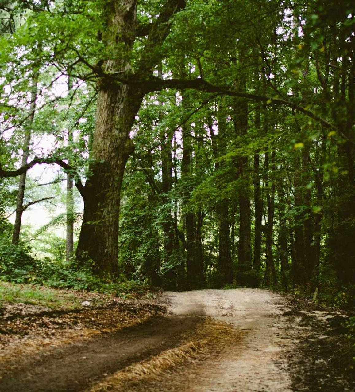 星美通信实名账号：舟山内资公司注册代理热线