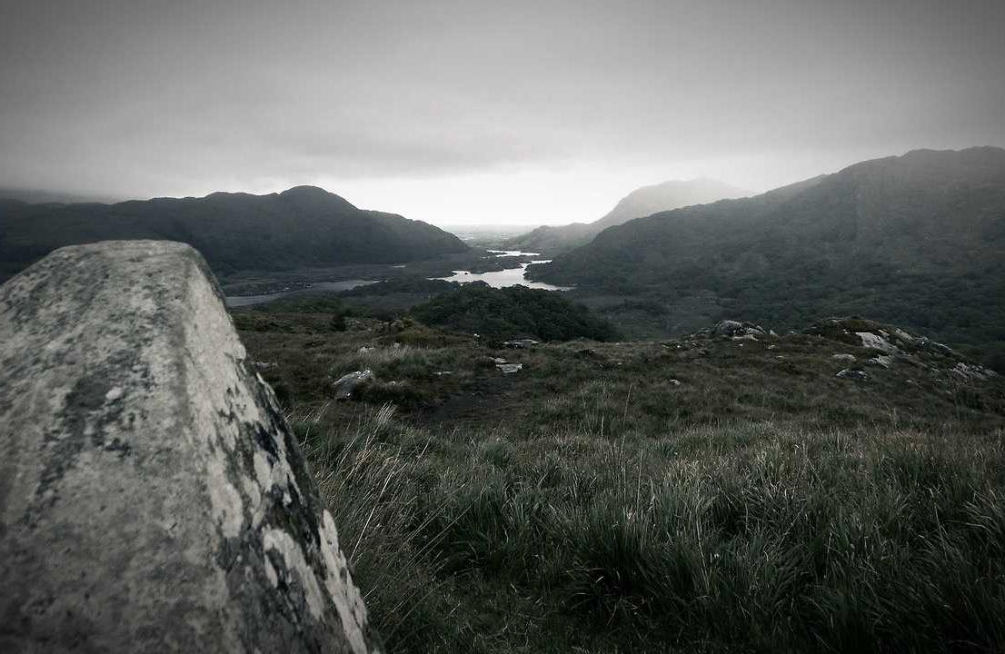 斗鱼 实名账号：通信达炒股软件详情下载教程app