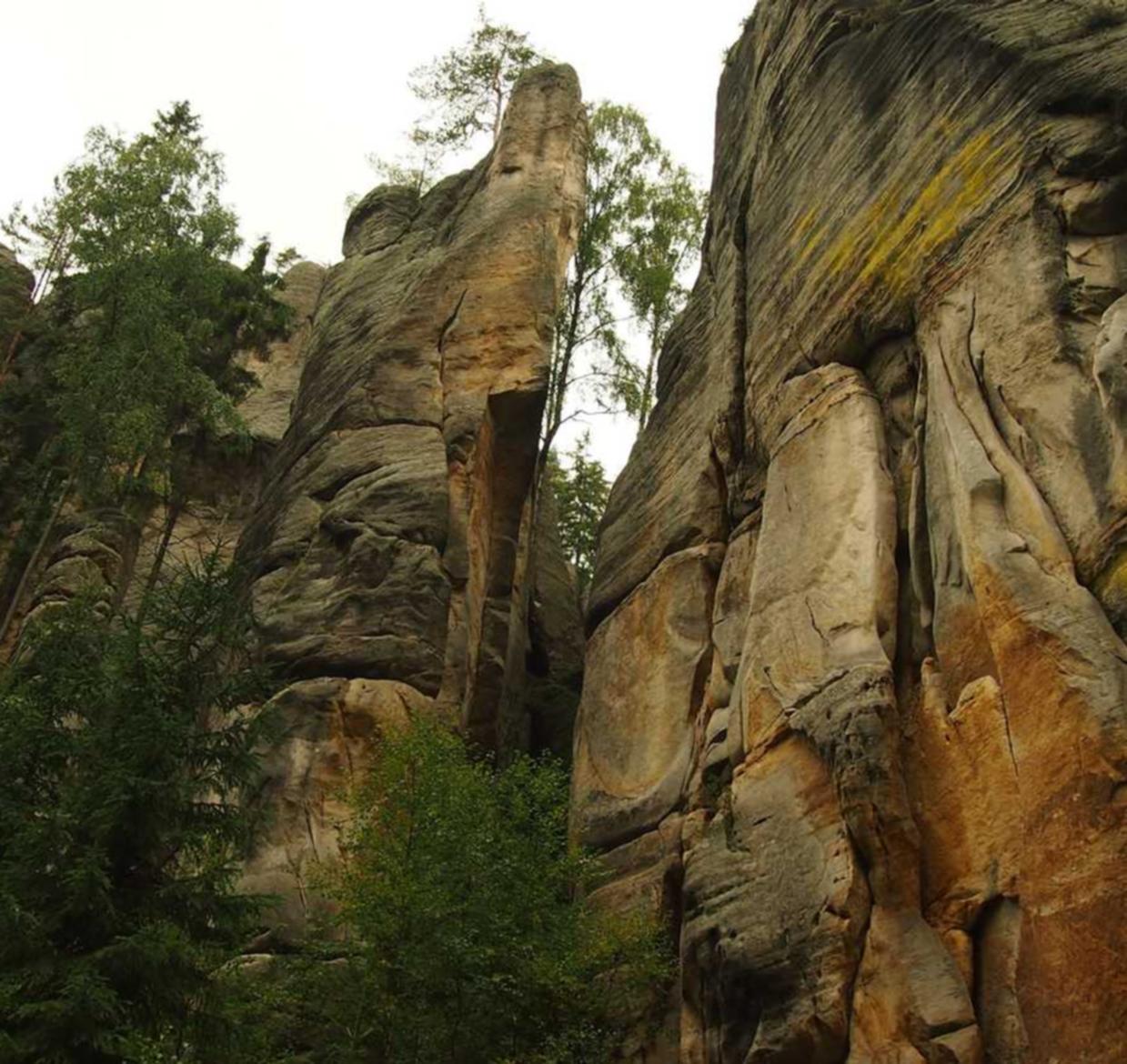 短信语言和文化的不同解读和理解