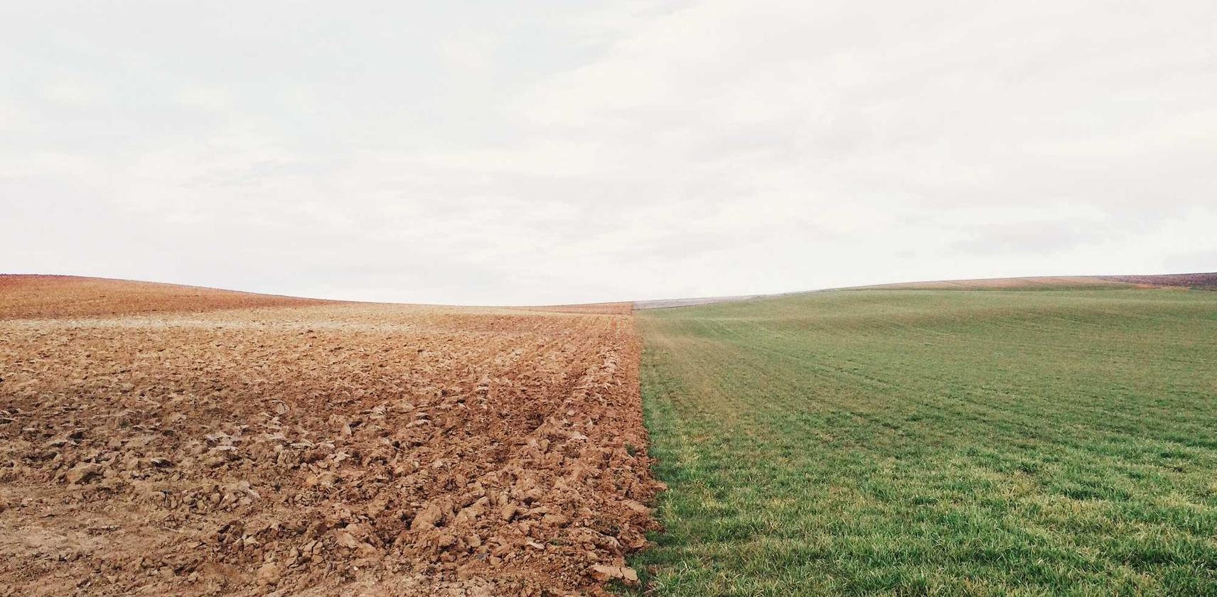 DDOS平台|项目规划代理管理平台