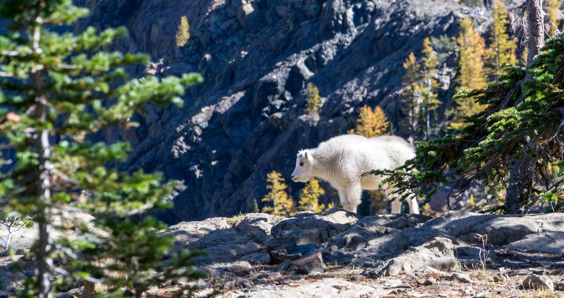 乐鱼团队竞技福建 代理公司注册