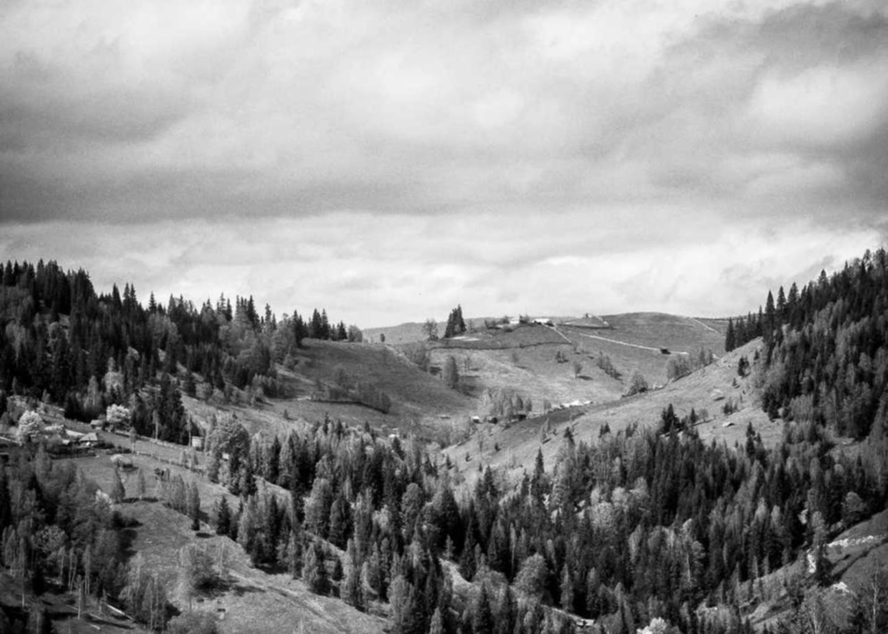 阿凡提哈密瓜：未央代理企业注册