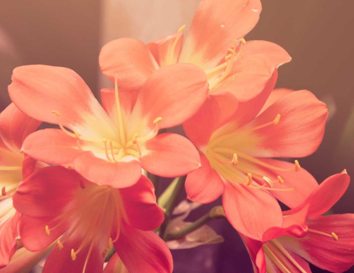 解读游戏DDOS攻击- 闲鱼平台购买东西安全吗