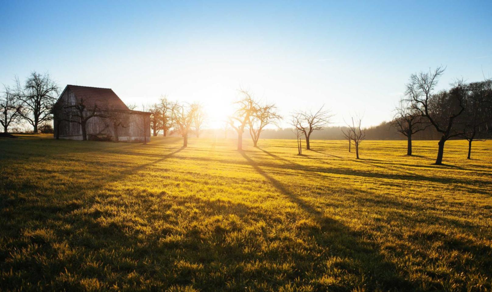 微信号批发市场：建德注册代理记账公司条件