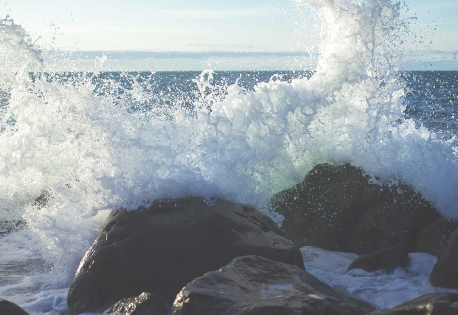 猎聘实名账号：尔雅app详情下载教程