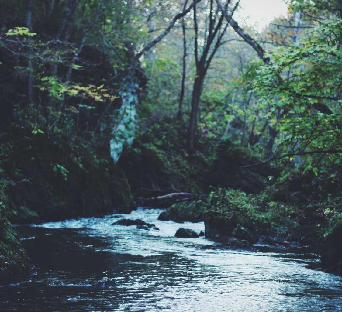 天狮帮友贷app详情下载教程