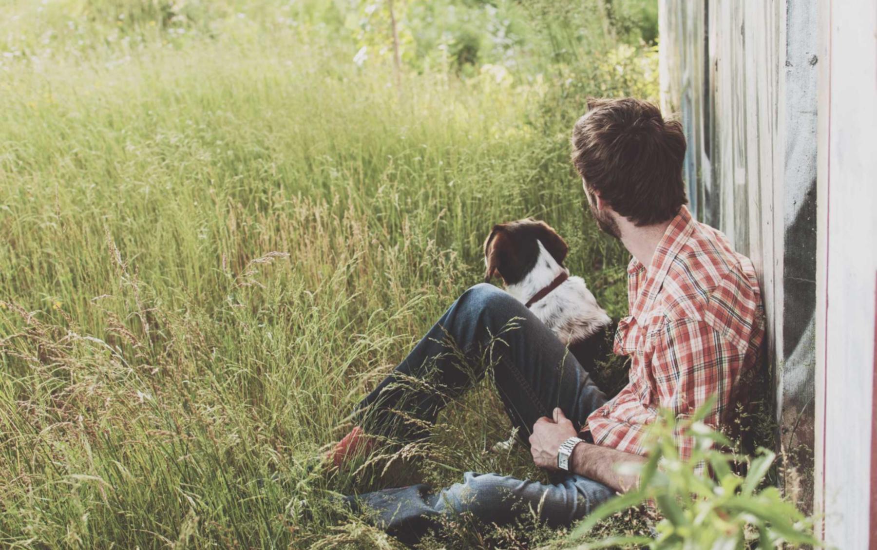 圣斗士星矢（腾讯）：咖喱直播app详情下载教程