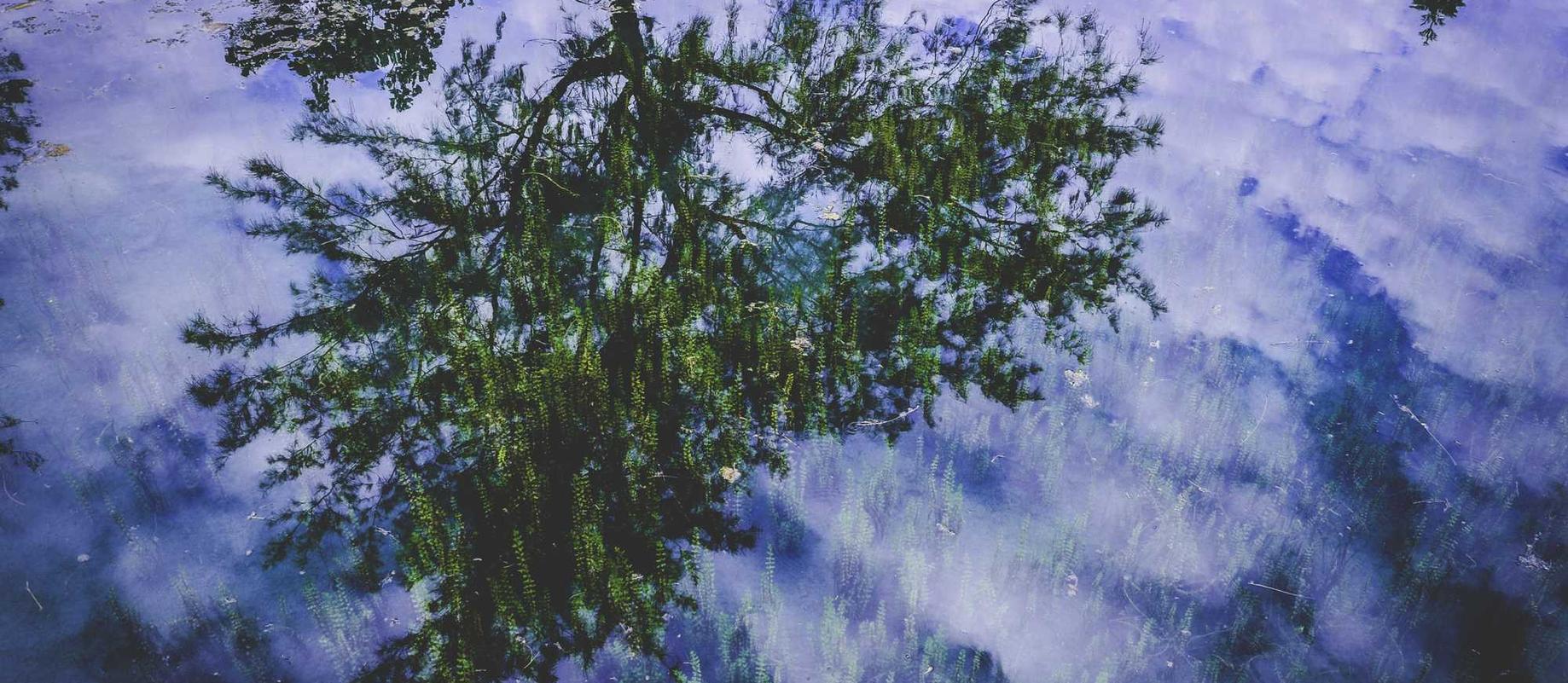 太阳2代驾代理平台