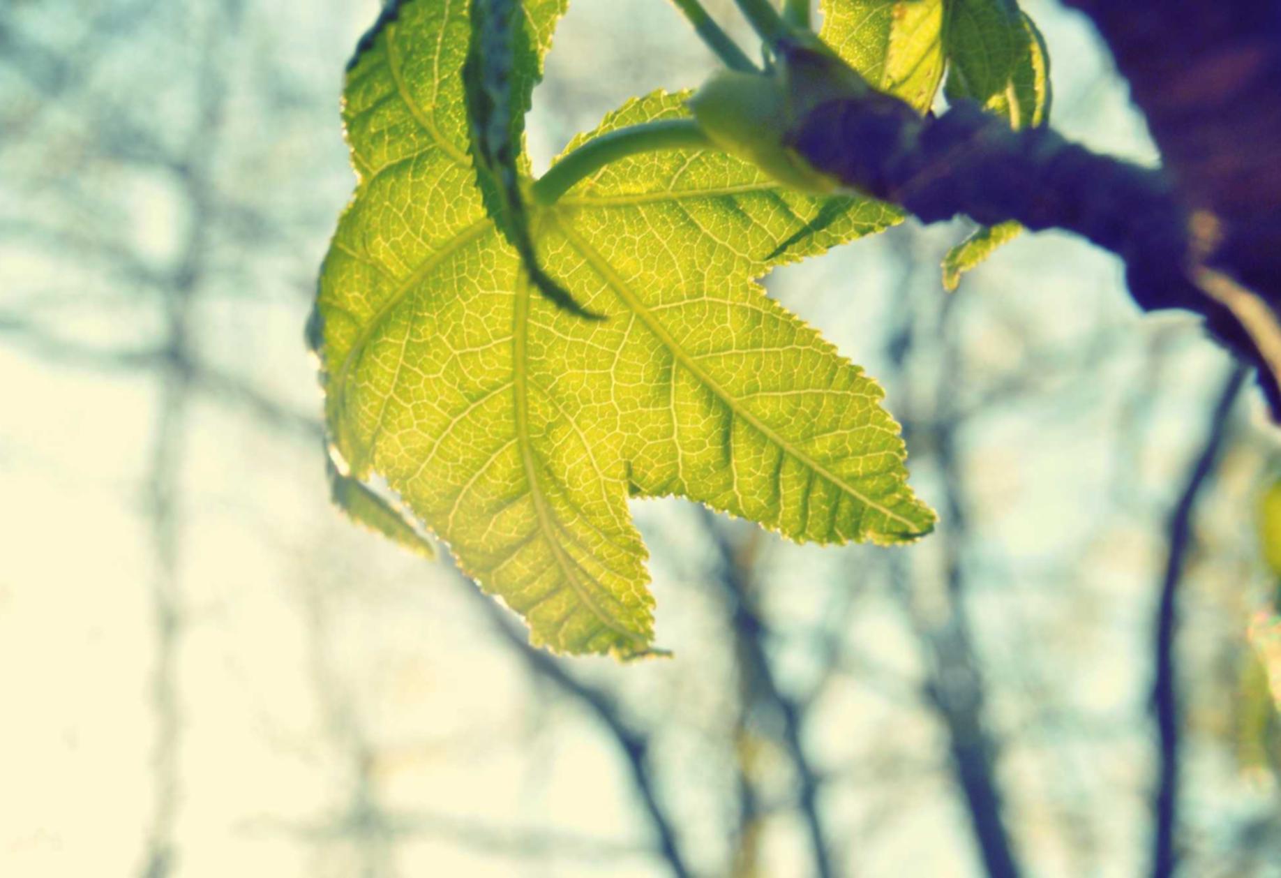 互联网+时代下的营销创新,让企业更具竞争力