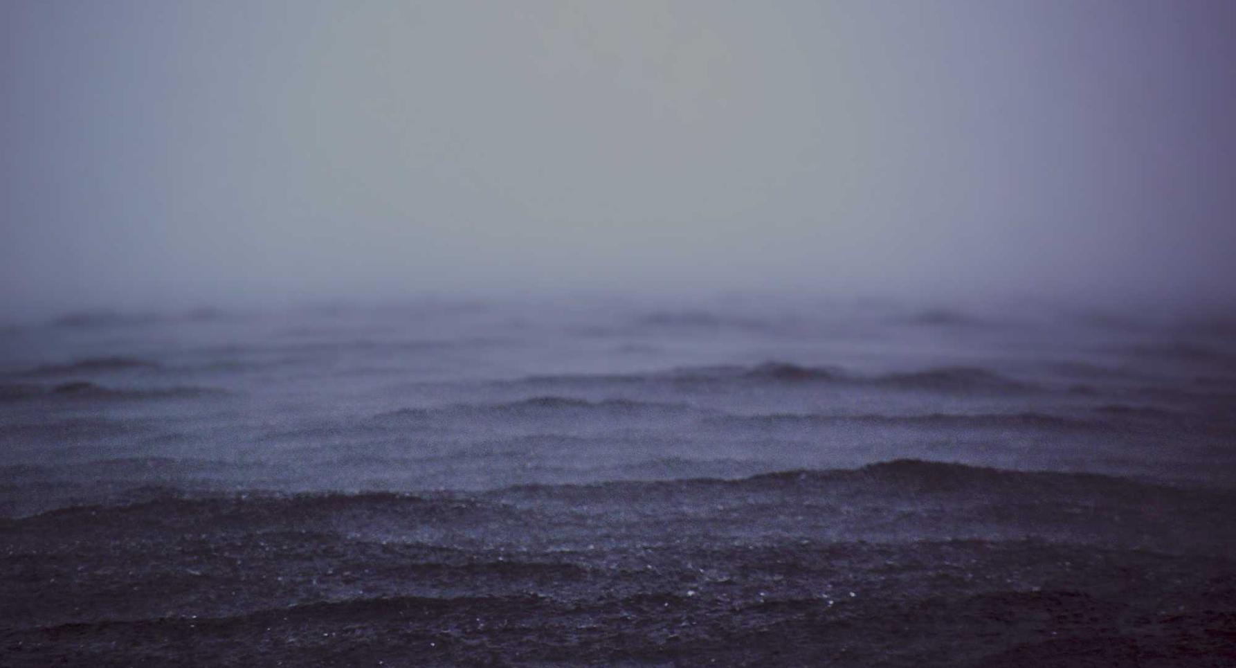 咖啡黄沉香（细）：加油打折代理平台