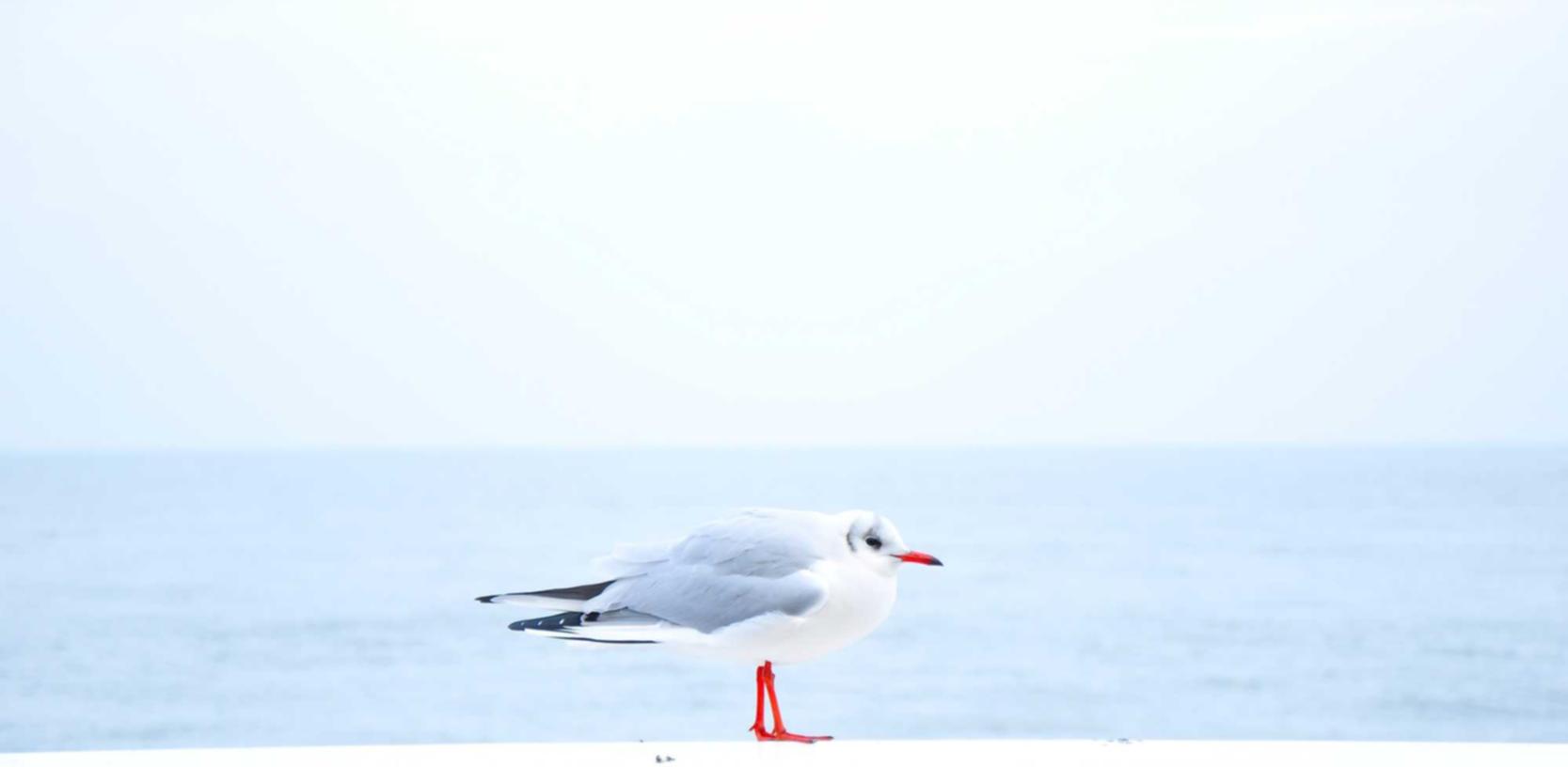 电销电话手机卡：实名认证在远程医疗中的应用及优势