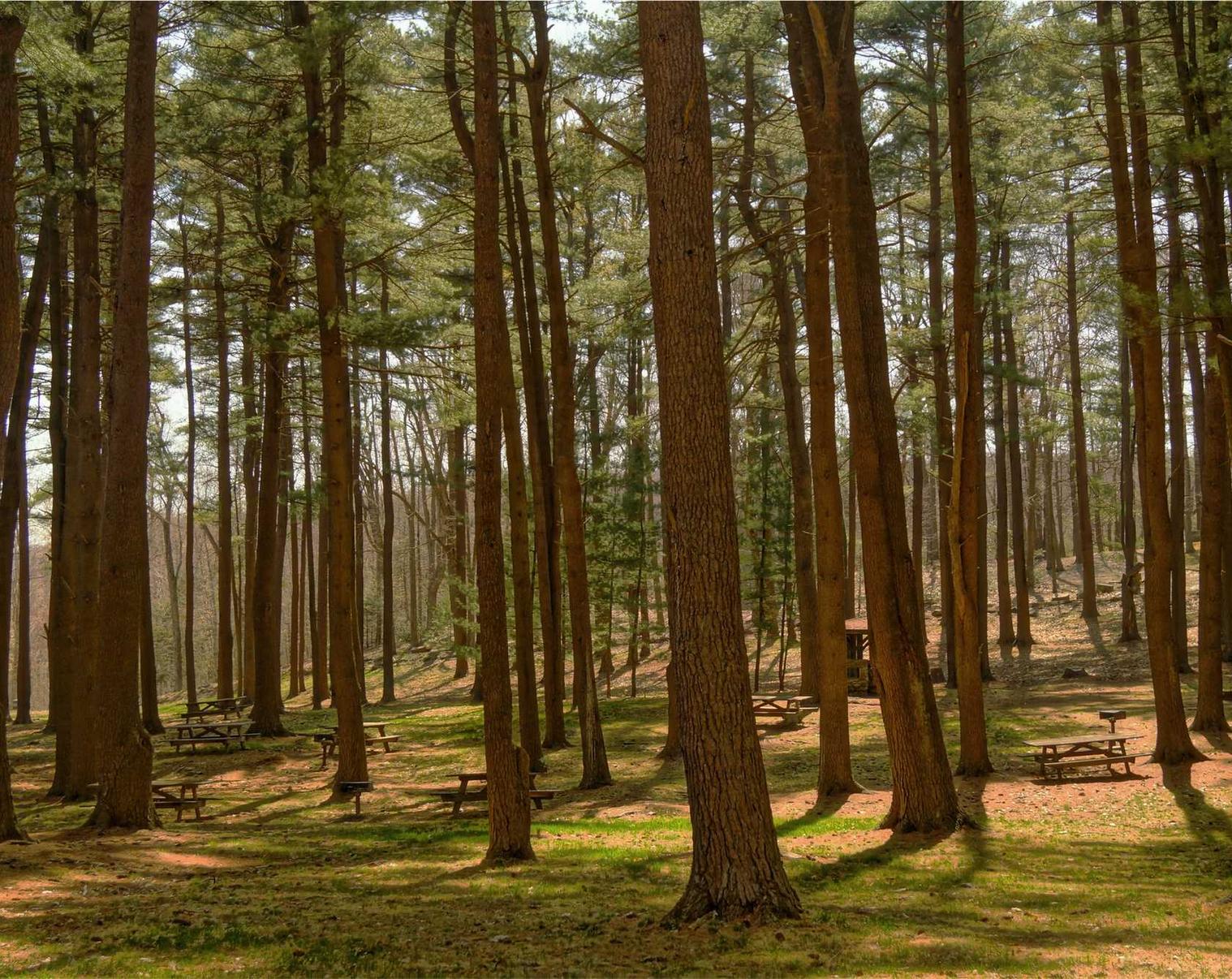 eSIM卡实名账号：什么样的原神账号值得购买