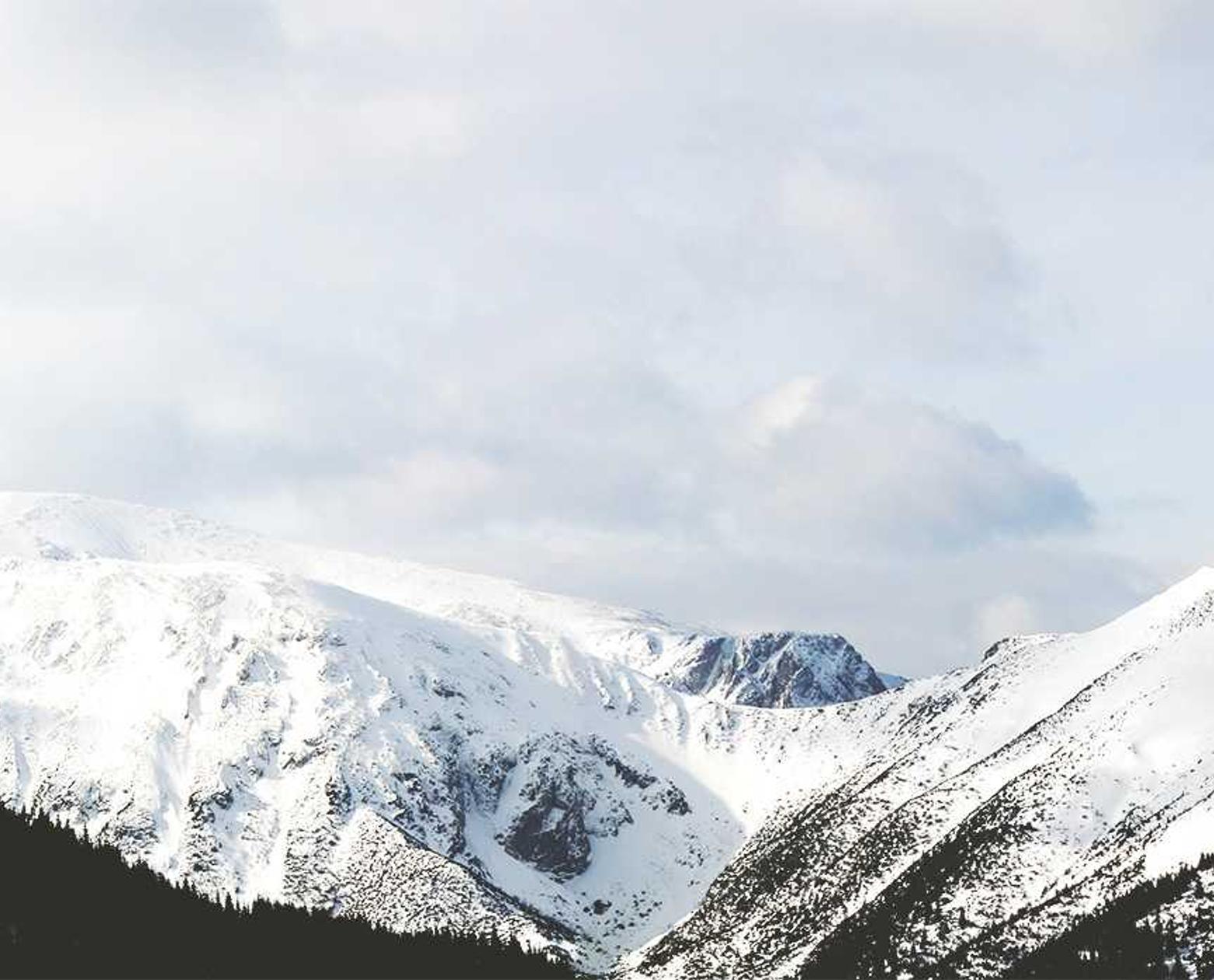 迅会议app详情下载教程