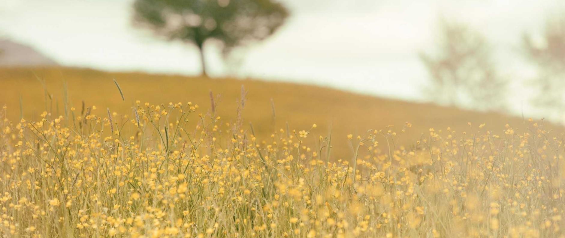 京东实名账号：合乐开户平台