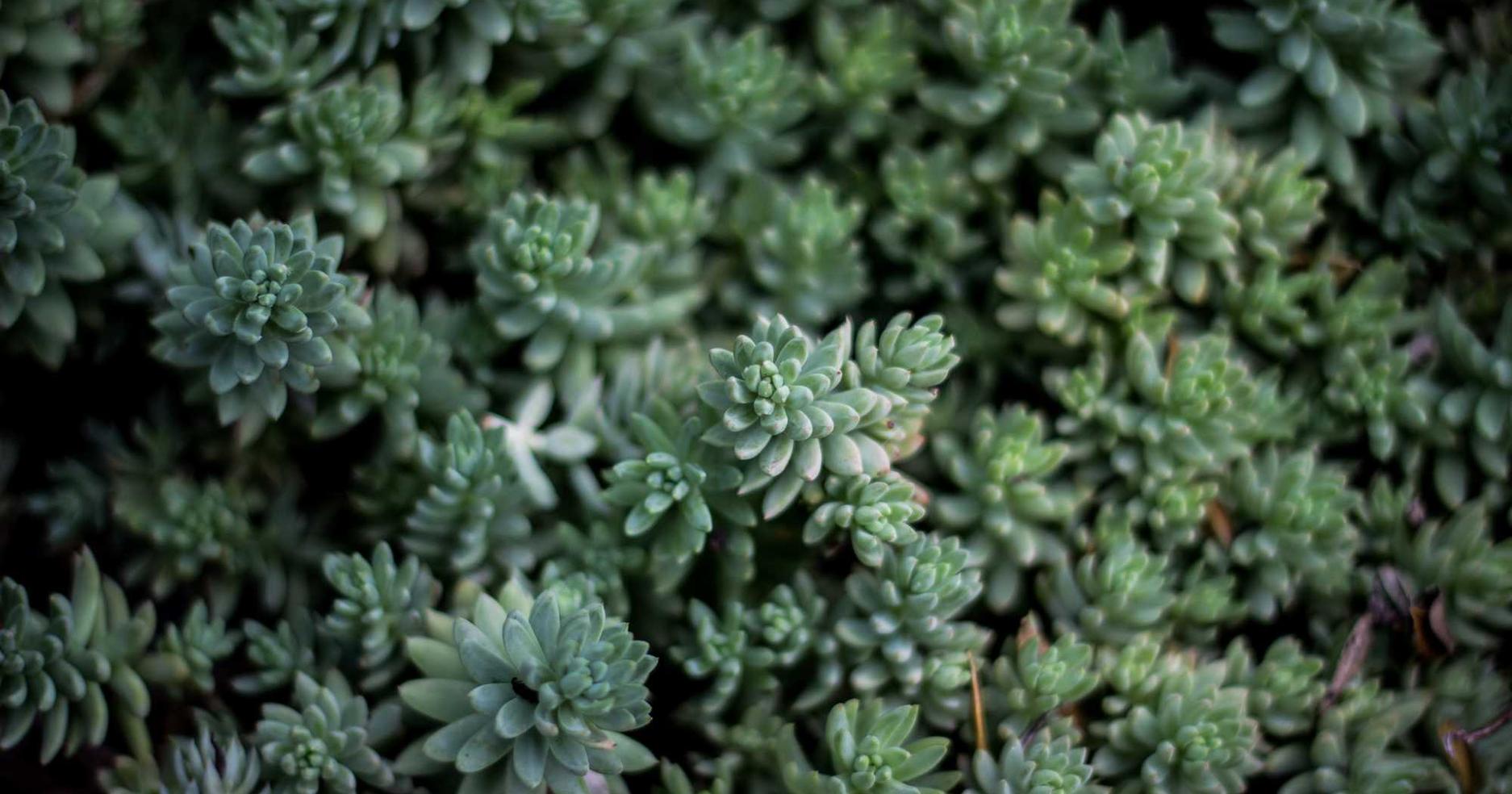 欧盟红万宝路：怎么查询小恩爱账号注册