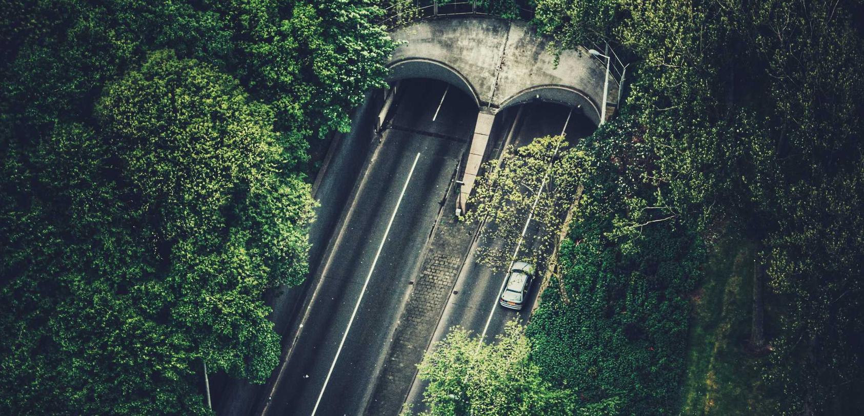 阿凡提哈密瓜：梦幻新诛仙怎么注册新账号