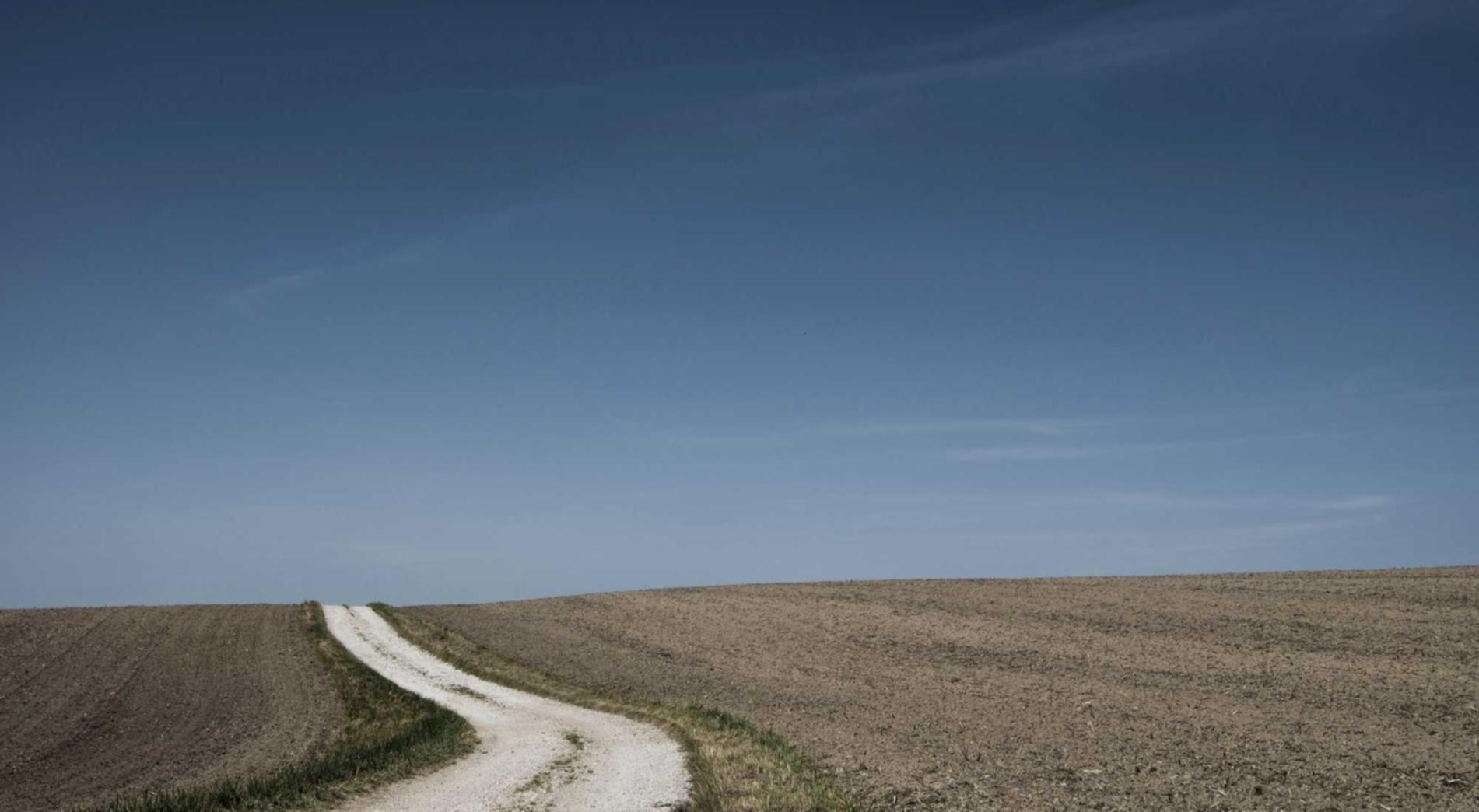 蓝MU摇摇薄荷爆珠：代理注册商标公司哪个好