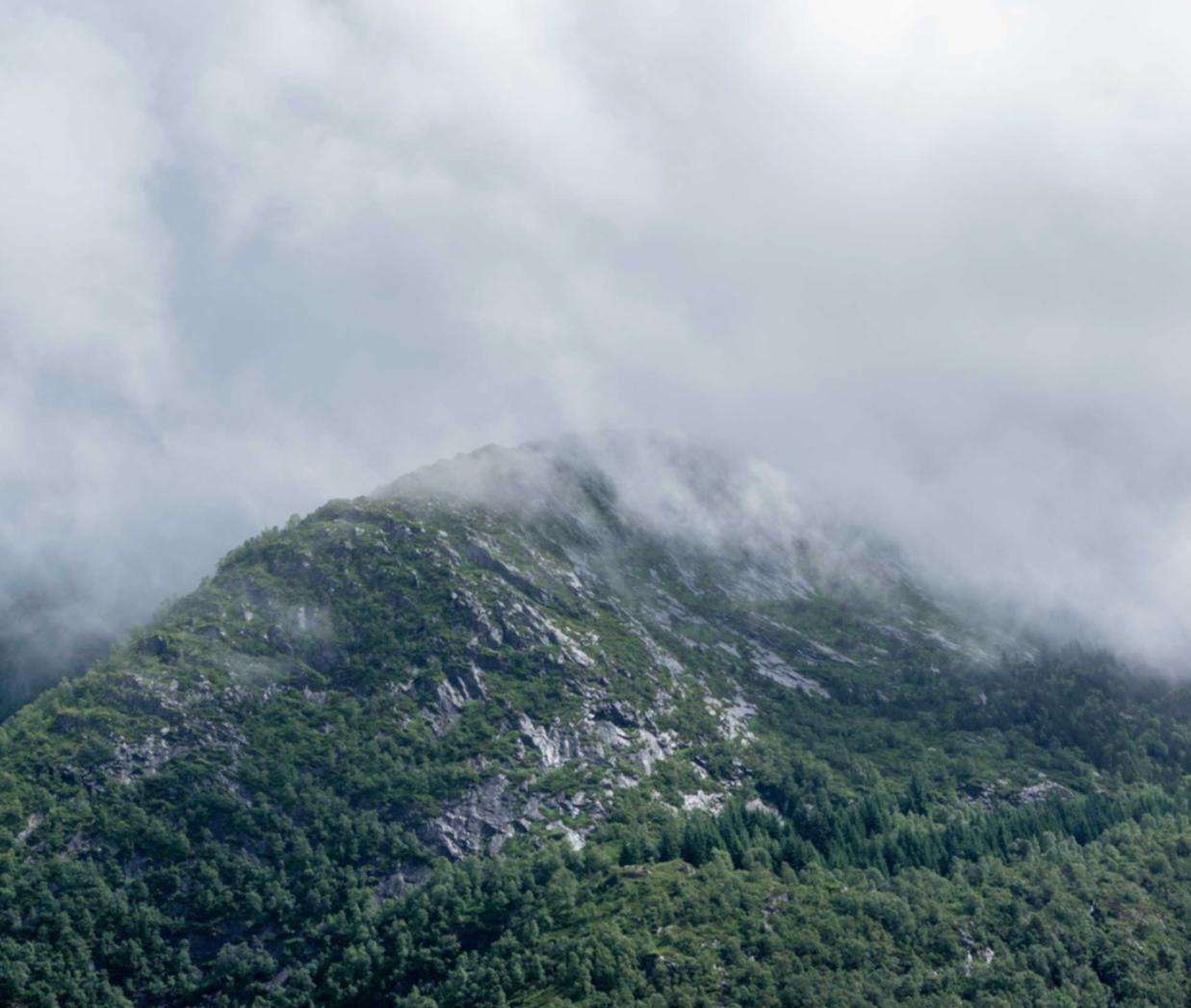跑跑卡丁车：抖音解封开户平台