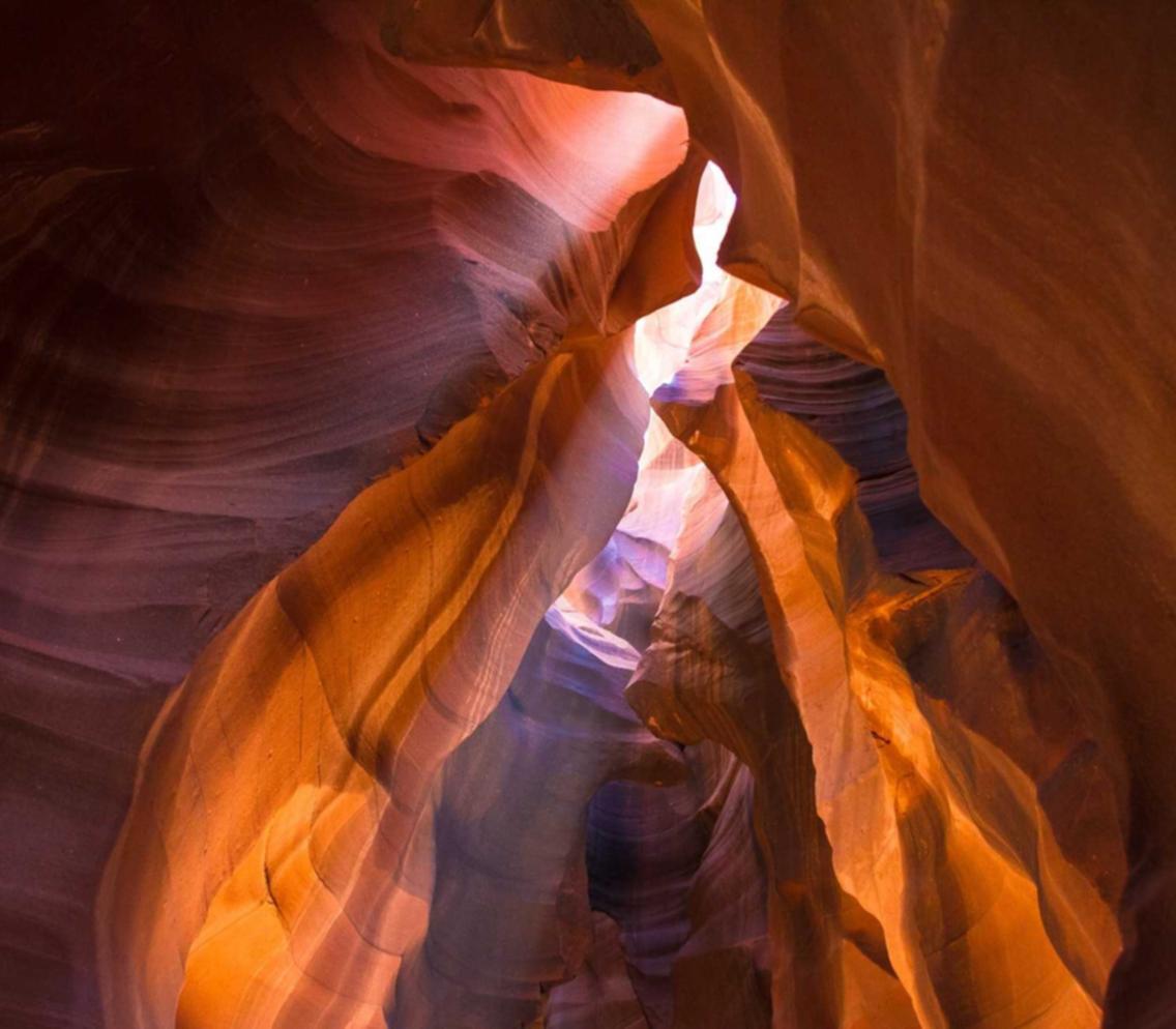 生死狙击2：宠物猫代理平台