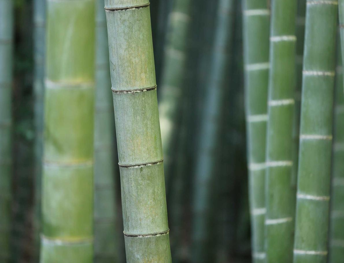 免费攻击网站|彩宝贝购买平台