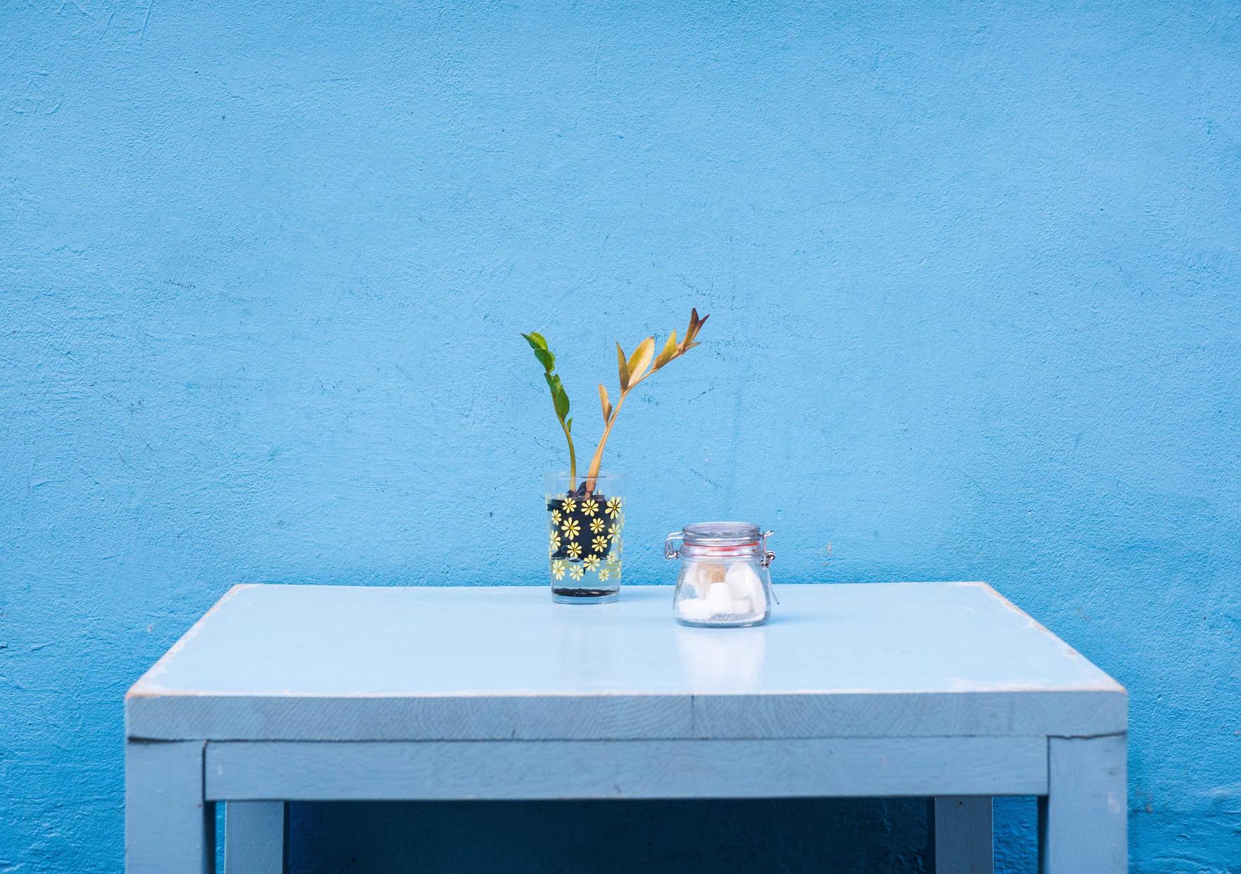 豆瓣实名账号：注册个代理记账公司