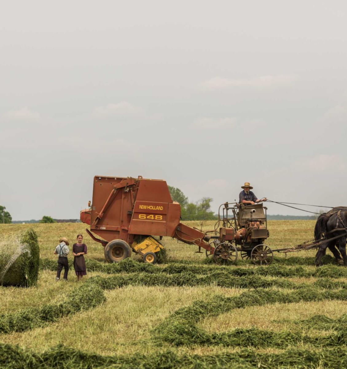 VX账号买卖：短信生日祝福：如何利用短信发送生日祝福
