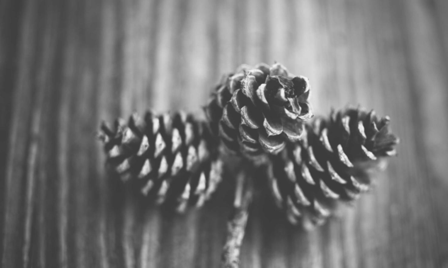 上古世界(ArcheWorld)：海口代理注册民办教学