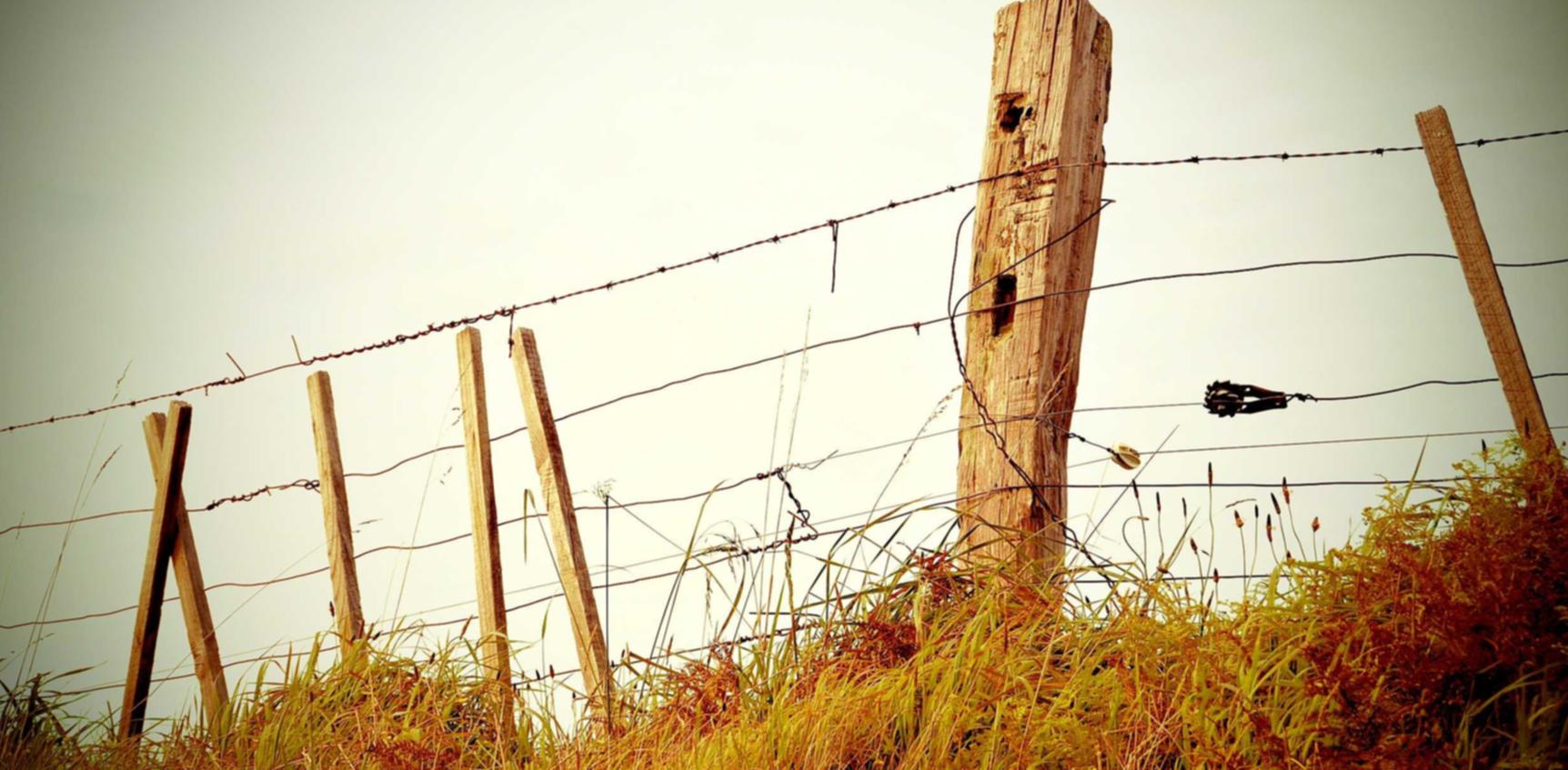 多利品牌赞助和企业中长期营销策略。