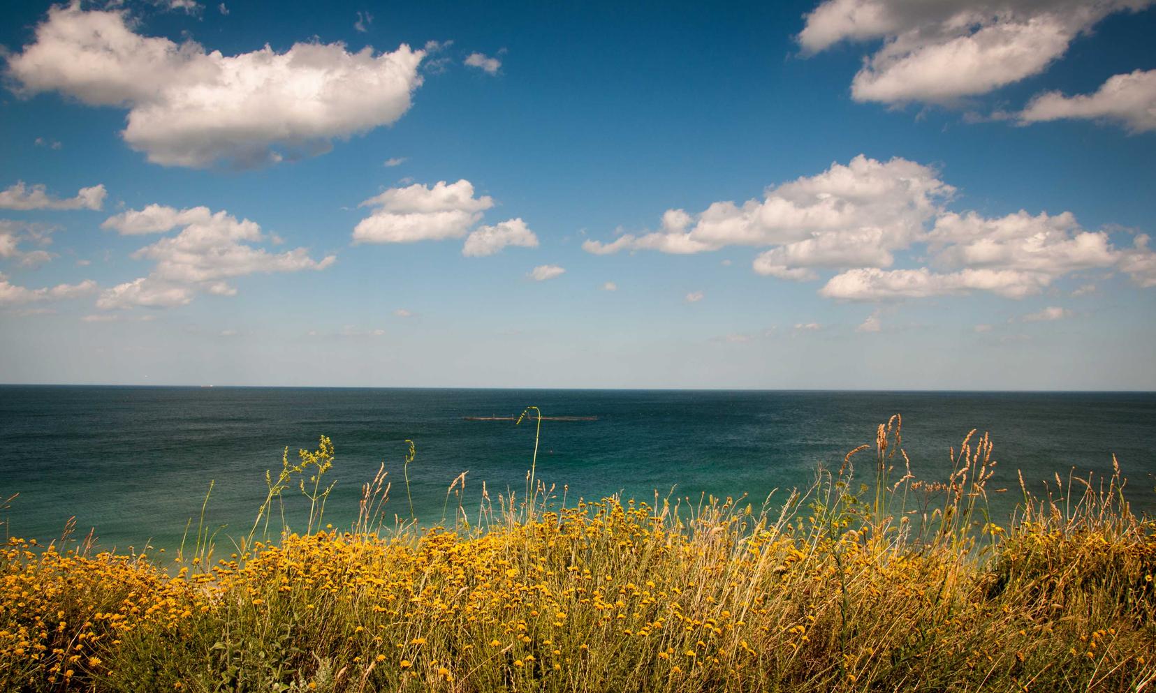 老人卡实名账号：软件app详情下载教程