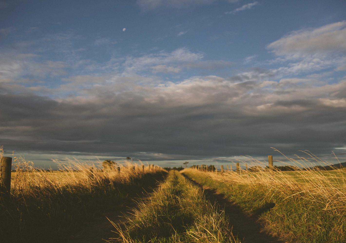 网页在线DDOS压力测试|详情下载教程国网安徽电力app