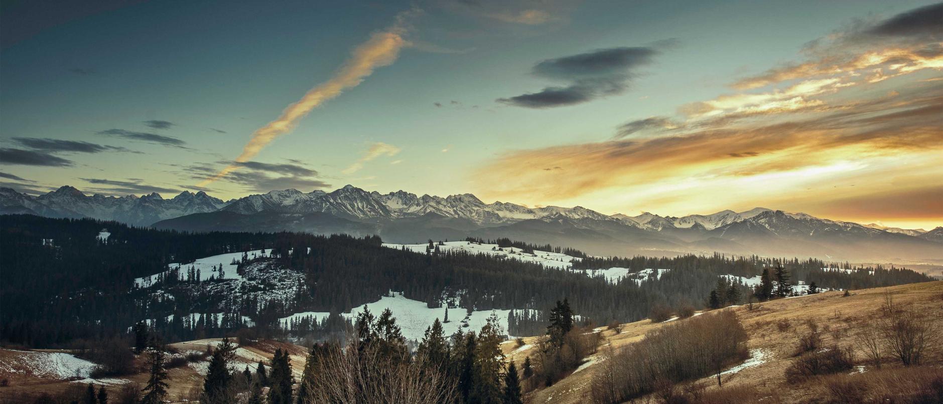 支付宝号买卖：短信的未来