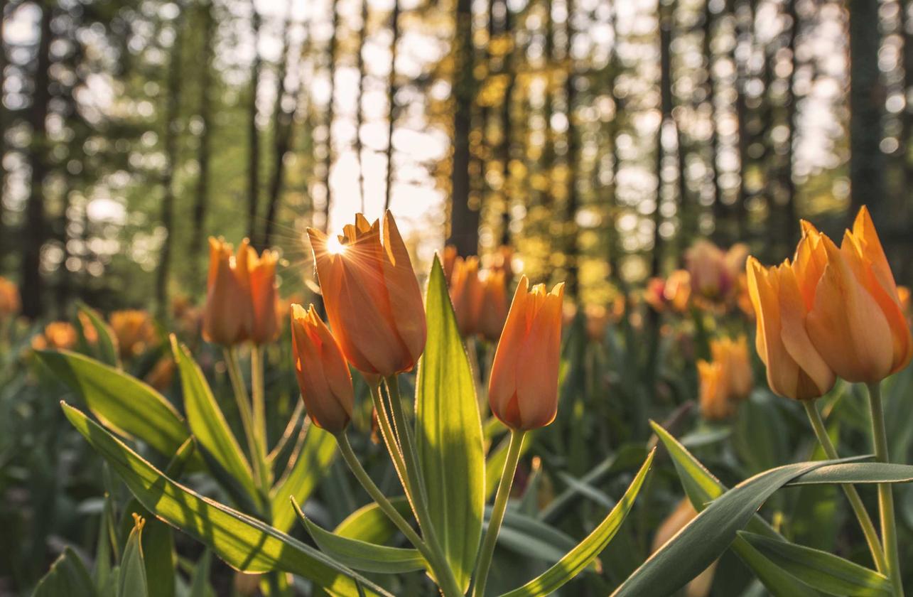 七喜联盟邮政银行信用卡app官方详情下载教程