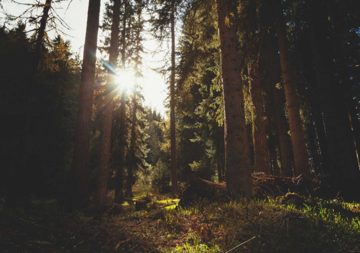 民生通讯实名账号:详情下载教程APP百度网盘