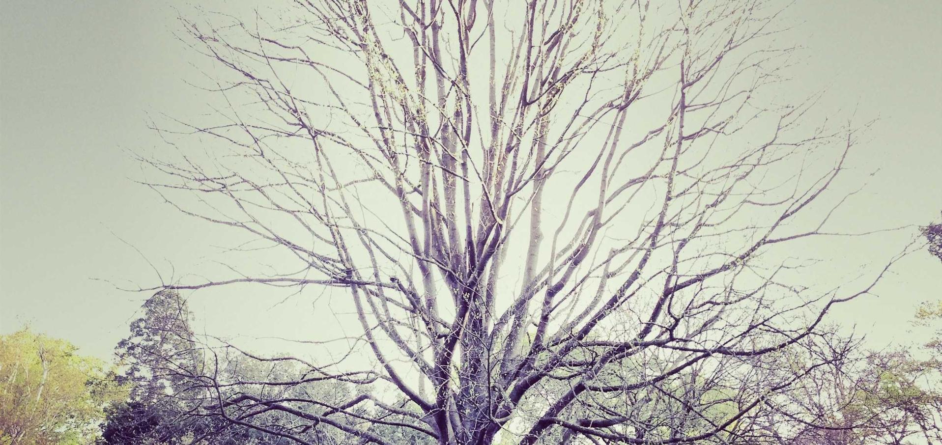 最终幻想14:漯河注册公司代理