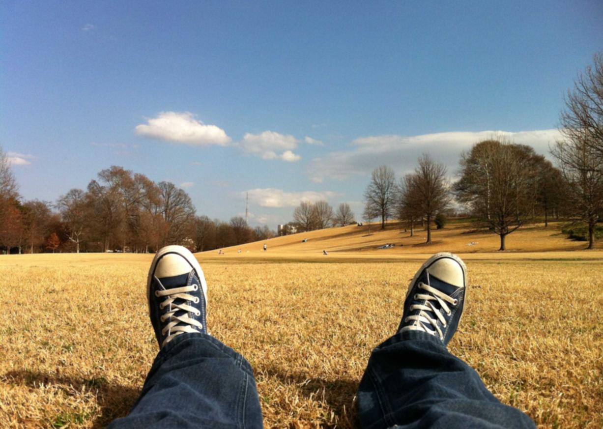 铁塔猫烟花芒果珠（细）：投诉机票代理平台