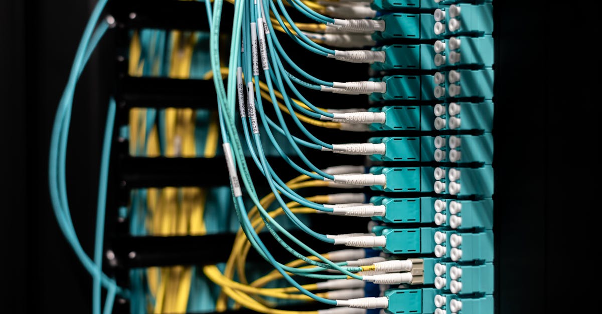 3A大作最好的购买平台